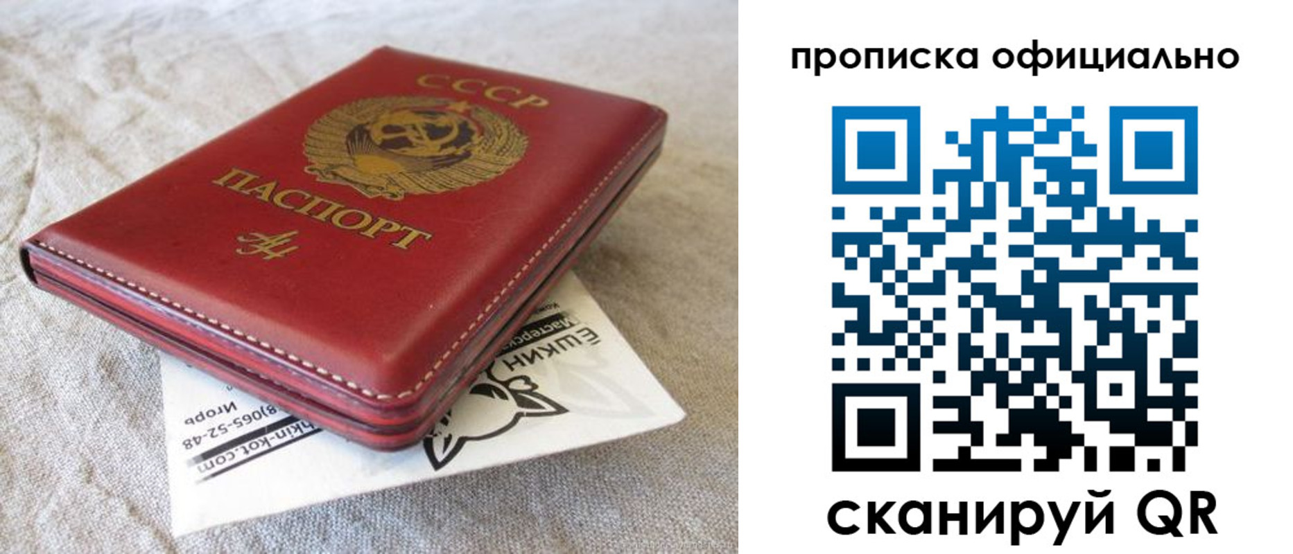 временная регистрация гарантия в Борзе