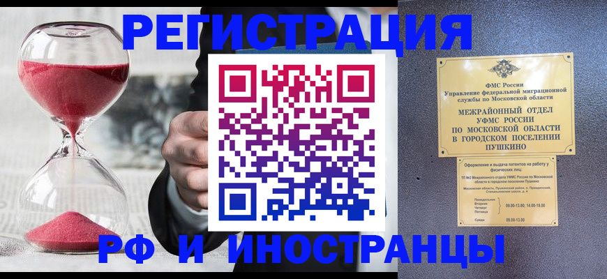 пропишу в квартире в Борзе